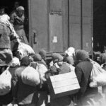 deportare 2